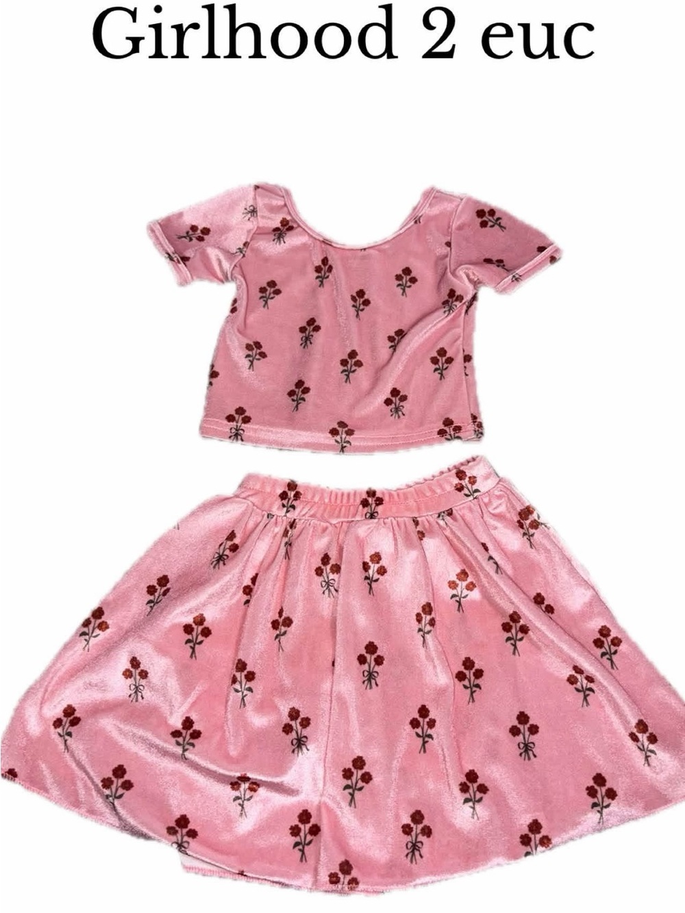 Girlhood 2t velour floral skirt shirt set